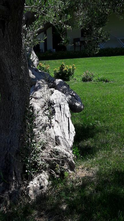 Tenuta Cavalieri Leverano Exteriör bild